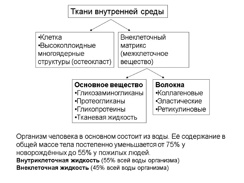 Организм человека в основном состоит из воды. Её содержание в общей массе тела постепенно